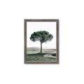 Picture of The Only Tree _GroupedProduct_Rectangle_Portrait_Photography _GroupedProduct_Rectangle_Portrait_Framed_Matted_