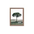 Picture of The Only Tree _GroupedProduct_Rectangle_Portrait_Photography _GroupedProduct_Rectangle_Portrait_Framed_Matted_
