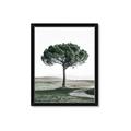 Picture of The Only Tree _GroupedProduct_Rectangle_Portrait_Photography _GroupedProduct_Rectangle_Portrait_Framed_Matted_
