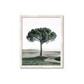 Picture of The Only Tree _GroupedProduct_Rectangle_Portrait_Photography _GroupedProduct_Rectangle_Portrait_Framed_Matted_