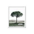 Picture of The Only Tree _GroupedProduct_Rectangle_Portrait_Photography _GroupedProduct_Rectangle_Portrait_Framed_Matted_