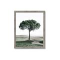 Picture of The Only Tree _GroupedProduct_Rectangle_Portrait_Photography _GroupedProduct_Rectangle_Portrait_Framed_Matted_