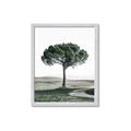 Picture of The Only Tree _GroupedProduct_Rectangle_Portrait_Photography _GroupedProduct_Rectangle_Portrait_Framed_Matted_