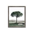 Picture of The Only Tree _GroupedProduct_Rectangle_Portrait_Photography _GroupedProduct_Rectangle_Portrait_Framed_Matted_