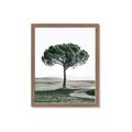 Picture of The Only Tree _GroupedProduct_Rectangle_Portrait_Photography _GroupedProduct_Rectangle_Portrait_Framed_Matted_