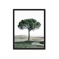 Picture of The Only Tree _GroupedProduct_Rectangle_Portrait_Photography _GroupedProduct_Rectangle_Portrait_Framed_Matted_