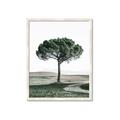 Picture of The Only Tree _GroupedProduct_Rectangle_Portrait_Photography _GroupedProduct_Rectangle_Portrait_Framed_Matted_