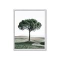 Picture of The Only Tree _GroupedProduct_Rectangle_Portrait_Photography _GroupedProduct_Rectangle_Portrait_Framed_Matted_