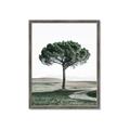 Picture of The Only Tree _GroupedProduct_Rectangle_Portrait_Photography _GroupedProduct_Rectangle_Portrait_Framed_Matted_