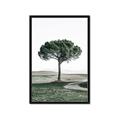 Picture of The Only Tree _GroupedProduct_Rectangle_Portrait_Photography _GroupedProduct_Rectangle_Portrait_Framed_Matted_
