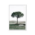Picture of The Only Tree _GroupedProduct_Rectangle_Portrait_Photography _GroupedProduct_Rectangle_Portrait_Framed_Matted_