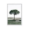 Picture of The Only Tree _GroupedProduct_Rectangle_Portrait_Photography _GroupedProduct_Rectangle_Portrait_Framed_Matted_