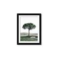 Picture of The Only Tree _GroupedProduct_Rectangle_Portrait_Photography _GroupedProduct_Rectangle_Portrait_Framed_Matted_