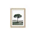 Picture of The Only Tree _GroupedProduct_Rectangle_Portrait_Photography _GroupedProduct_Rectangle_Portrait_Framed_Matted_