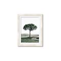 Picture of The Only Tree _GroupedProduct_Rectangle_Portrait_Photography _GroupedProduct_Rectangle_Portrait_Framed_Matted_