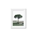 Picture of The Only Tree _GroupedProduct_Rectangle_Portrait_Photography _GroupedProduct_Rectangle_Portrait_Framed_Matted_