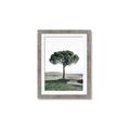 Picture of The Only Tree _GroupedProduct_Rectangle_Portrait_Photography _GroupedProduct_Rectangle_Portrait_Framed_Matted_