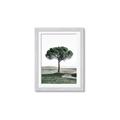 Picture of The Only Tree _GroupedProduct_Rectangle_Portrait_Photography _GroupedProduct_Rectangle_Portrait_Framed_Matted_