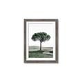 Picture of The Only Tree _GroupedProduct_Rectangle_Portrait_Photography _GroupedProduct_Rectangle_Portrait_Framed_Matted_