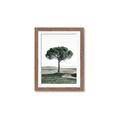 Picture of The Only Tree _GroupedProduct_Rectangle_Portrait_Photography _GroupedProduct_Rectangle_Portrait_Framed_Matted_