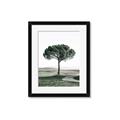 Picture of The Only Tree _GroupedProduct_Rectangle_Portrait_Photography _GroupedProduct_Rectangle_Portrait_Framed_Matted_