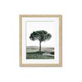 Picture of The Only Tree _GroupedProduct_Rectangle_Portrait_Photography _GroupedProduct_Rectangle_Portrait_Framed_Matted_
