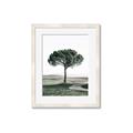 Picture of The Only Tree _GroupedProduct_Rectangle_Portrait_Photography _GroupedProduct_Rectangle_Portrait_Framed_Matted_