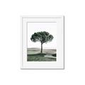 Picture of The Only Tree _GroupedProduct_Rectangle_Portrait_Photography _GroupedProduct_Rectangle_Portrait_Framed_Matted_