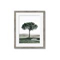 Picture of The Only Tree _GroupedProduct_Rectangle_Portrait_Photography _GroupedProduct_Rectangle_Portrait_Framed_Matted_