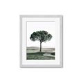 Picture of The Only Tree _GroupedProduct_Rectangle_Portrait_Photography _GroupedProduct_Rectangle_Portrait_Framed_Matted_