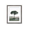Picture of The Only Tree _GroupedProduct_Rectangle_Portrait_Photography _GroupedProduct_Rectangle_Portrait_Framed_Matted_