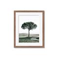 Picture of The Only Tree _GroupedProduct_Rectangle_Portrait_Photography _GroupedProduct_Rectangle_Portrait_Framed_Matted_