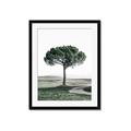 Picture of The Only Tree _GroupedProduct_Rectangle_Portrait_Photography _GroupedProduct_Rectangle_Portrait_Framed_Matted_