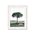Picture of The Only Tree _GroupedProduct_Rectangle_Portrait_Photography _GroupedProduct_Rectangle_Portrait_Framed_Matted_