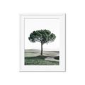Picture of The Only Tree _GroupedProduct_Rectangle_Portrait_Photography _GroupedProduct_Rectangle_Portrait_Framed_Matted_