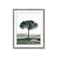 Picture of The Only Tree _GroupedProduct_Rectangle_Portrait_Photography _GroupedProduct_Rectangle_Portrait_Framed_Matted_