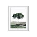 Picture of The Only Tree _GroupedProduct_Rectangle_Portrait_Photography _GroupedProduct_Rectangle_Portrait_Framed_Matted_