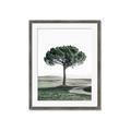 Picture of The Only Tree _GroupedProduct_Rectangle_Portrait_Photography _GroupedProduct_Rectangle_Portrait_Framed_Matted_