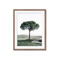 Picture of The Only Tree _GroupedProduct_Rectangle_Portrait_Photography _GroupedProduct_Rectangle_Portrait_Framed_Matted_