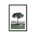 Picture of The Only Tree _GroupedProduct_Rectangle_Portrait_Photography _GroupedProduct_Rectangle_Portrait_Framed_Matted_