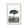 Picture of The Only Tree _GroupedProduct_Rectangle_Portrait_Photography _GroupedProduct_Rectangle_Portrait_Framed_Matted_