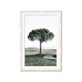 Picture of The Only Tree _GroupedProduct_Rectangle_Portrait_Photography _GroupedProduct_Rectangle_Portrait_Framed_Matted_