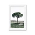 Picture of The Only Tree _GroupedProduct_Rectangle_Portrait_Photography _GroupedProduct_Rectangle_Portrait_Framed_Matted_