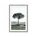 Picture of The Only Tree _GroupedProduct_Rectangle_Portrait_Photography _GroupedProduct_Rectangle_Portrait_Framed_Matted_