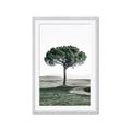 Picture of The Only Tree _GroupedProduct_Rectangle_Portrait_Photography _GroupedProduct_Rectangle_Portrait_Framed_Matted_