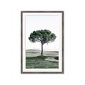 Picture of The Only Tree _GroupedProduct_Rectangle_Portrait_Photography _GroupedProduct_Rectangle_Portrait_Framed_Matted_