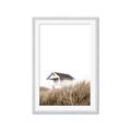 Picture of Lake House Neutral  _GroupedProduct_Rectangle_Portrait_Photography _GroupedProduct_Rectangle_Portrait_Framed_Matted_