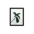 Picture of Green Sprout white _GroupedProduct_Rectangle_Portrait_Photography _GroupedProduct_Rectangle_Portrait_Framed_Matted_