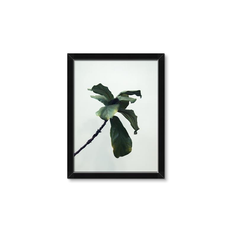 Picture of Green Sprout white _GroupedProduct_Rectangle_Portrait_Photography _GroupedProduct_Rectangle_Portrait_Framed_Matted_