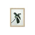 Picture of Green Sprout white _GroupedProduct_Rectangle_Portrait_Photography _GroupedProduct_Rectangle_Portrait_Framed_Matted_